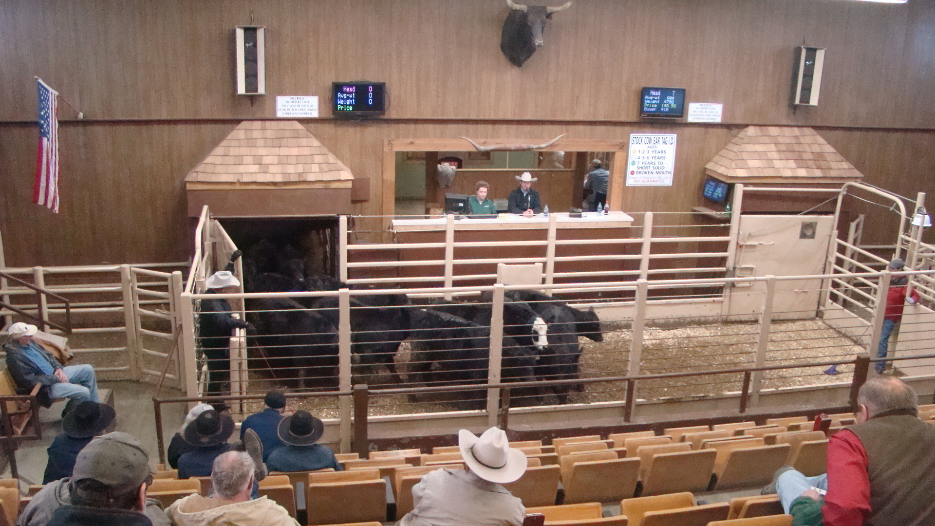 Lamoni Livestock Auction We treat you like family