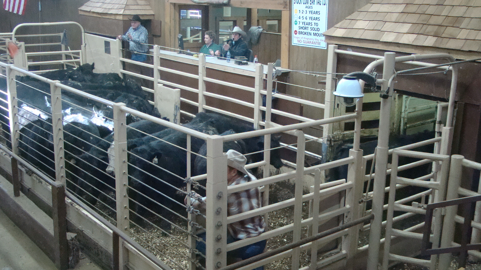 Lamoni Livestock Auction We treat you like family